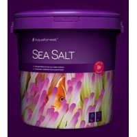 Sea Salt 海魚鹽 22KG 