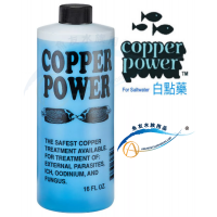 Copper Power Parasite Treatment (白點藥)