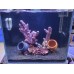 Nature's Ocean Bio-Activ Live Aragonite Reef Sand 活海水經典黑沙4.536KG