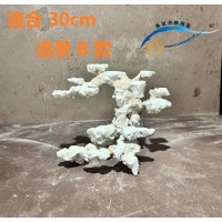 魚缸造景石 aquarium rocks 30cm ( B 款 ) 魚缸造景石 aquarium rocks 30cm ( B 款 )