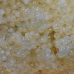 Frozen Fish Eggs 30粒
