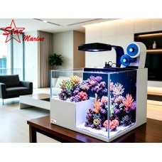 Star Marine 斷崖式背濾缸 50