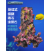 VASTOCEAN 掛缸式懸空造景石 SZ189